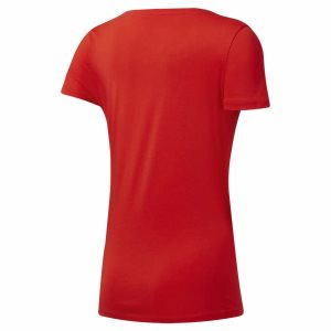 Reebok Linear Scoop Neck T Shirt Damen - Rot - DE 987-QYB